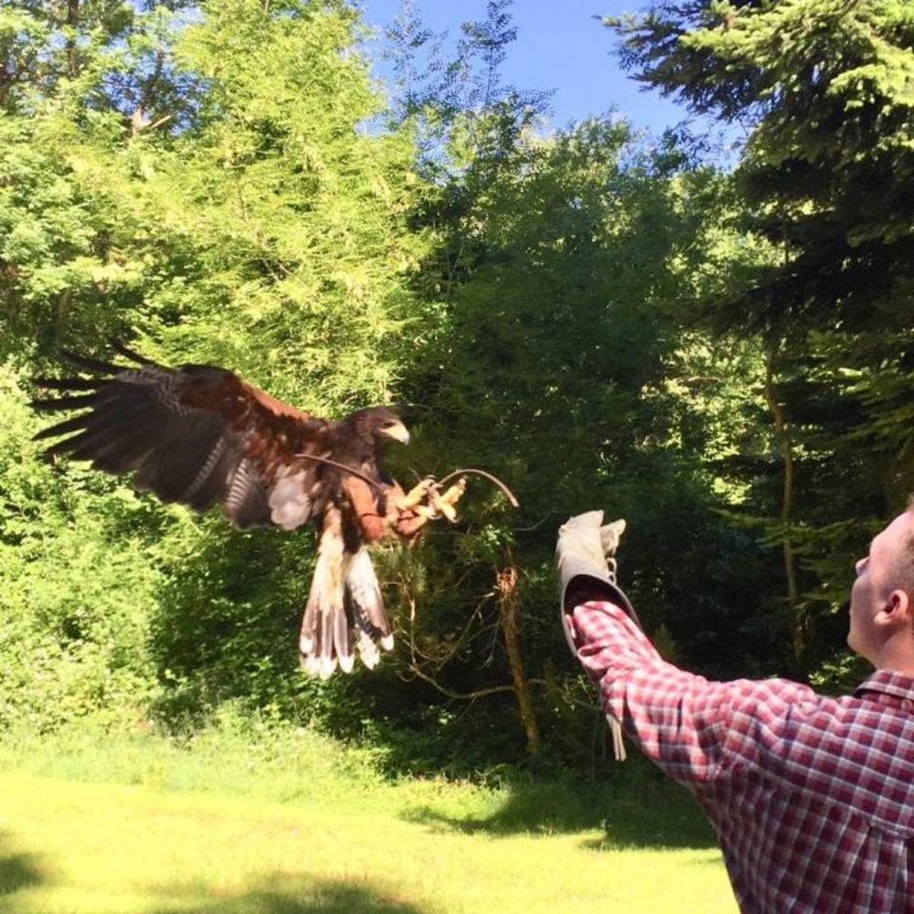 Meet your Posher, Sean